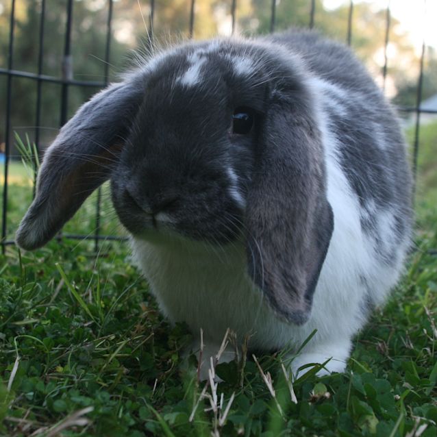 Photo of Penelope Charlotte