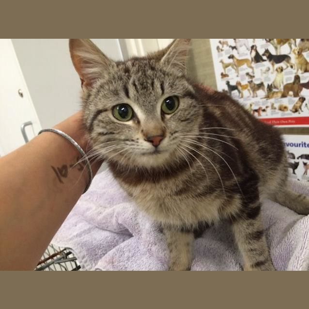 Photo of Maxine (3900)