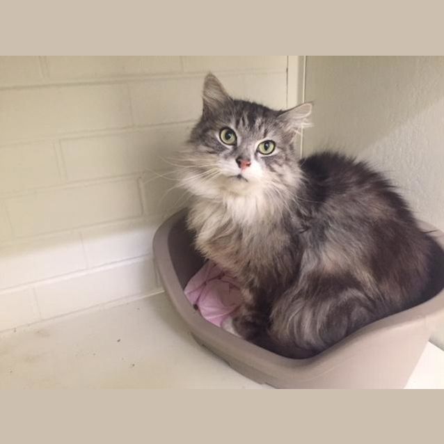 Photo of Kennedy (3922)