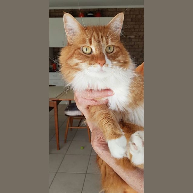 Photo of Polly