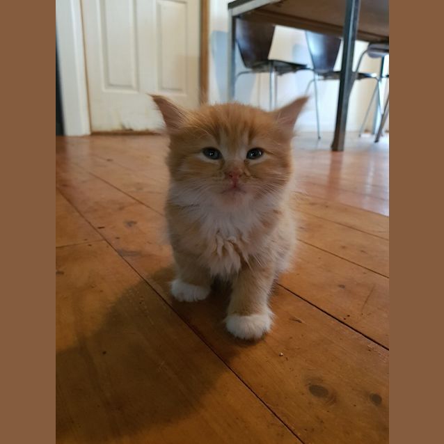 Photo of Jasper