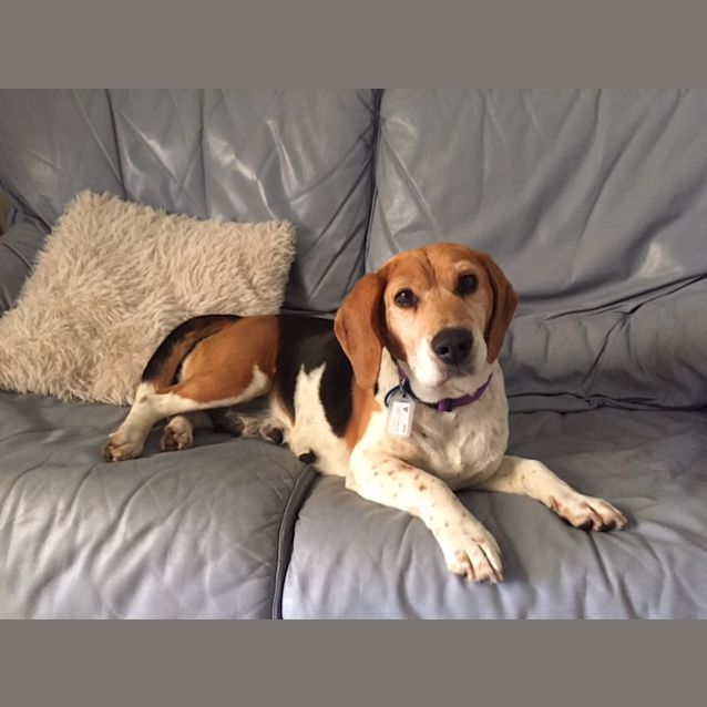 Photo of Rosie