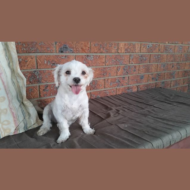 Photo of Pixe