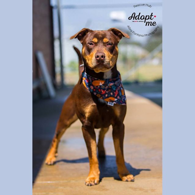 Photo of Tyler (Pcc 542)