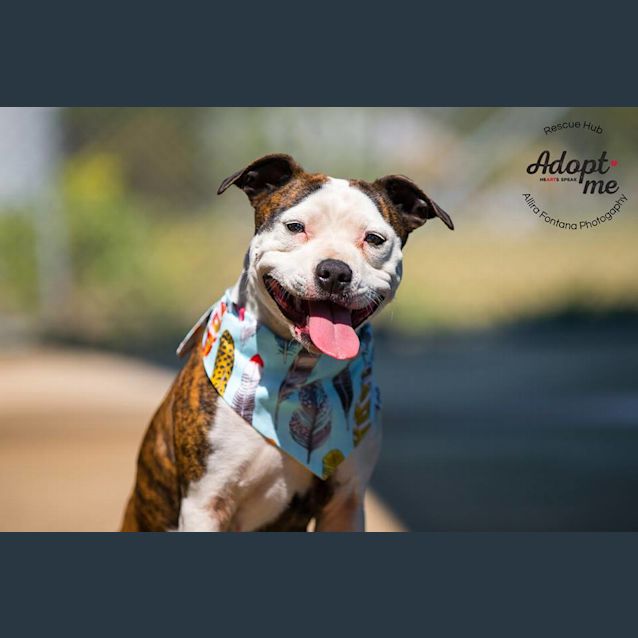 Photo of Montana (Pcc 547)