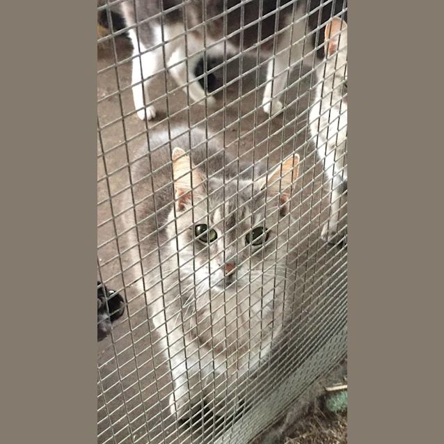 Photo of Myrtle