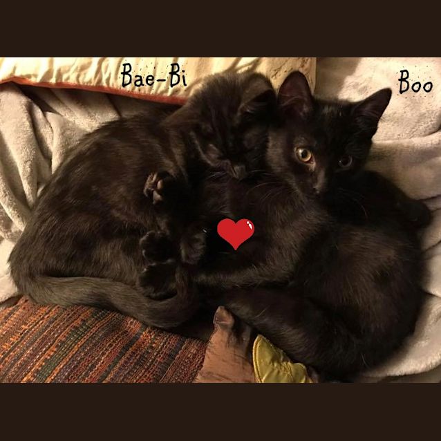 Photo of Bae Bi & Boo