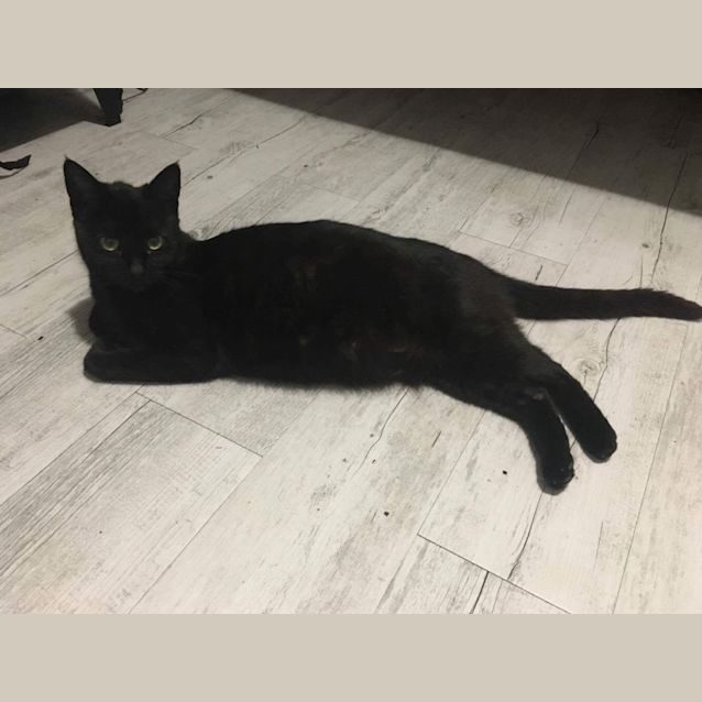 Photo of Sookie