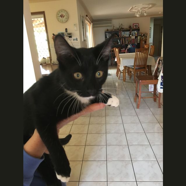 Photo of Ninja