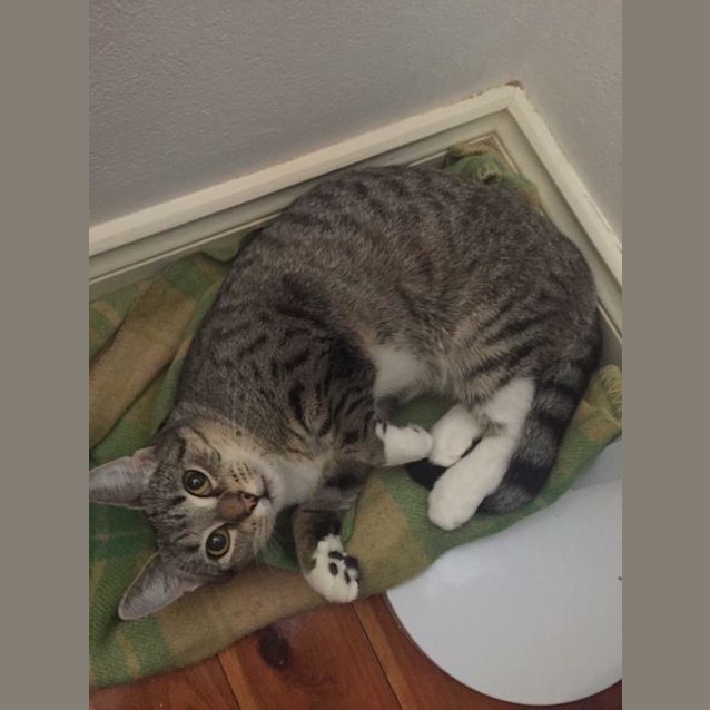 Photo of Ivy