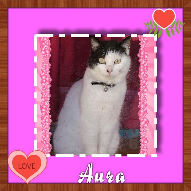 Photo of Aura