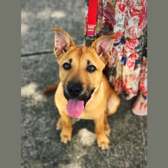 Photo of Penny 