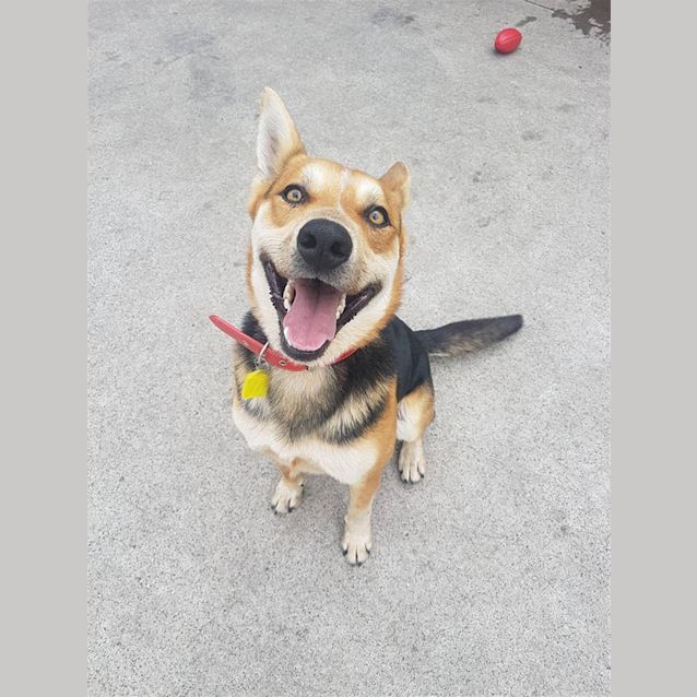 Photo of Charlie