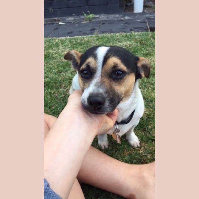 Photo of Jasper Ed0127 