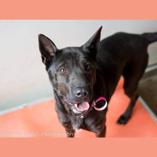 Photo of Bonnie (3972)