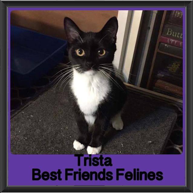 Photo of Trista