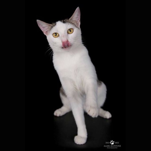 Photo of Freya