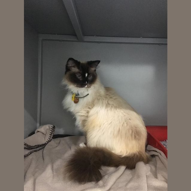 Photo of Homer
