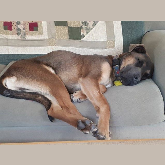 Photo of Murphy
