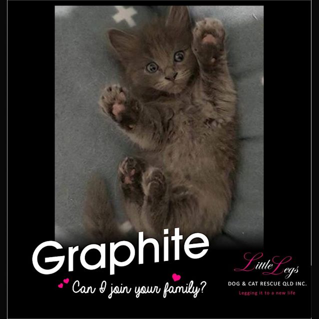 Photo of Graphite