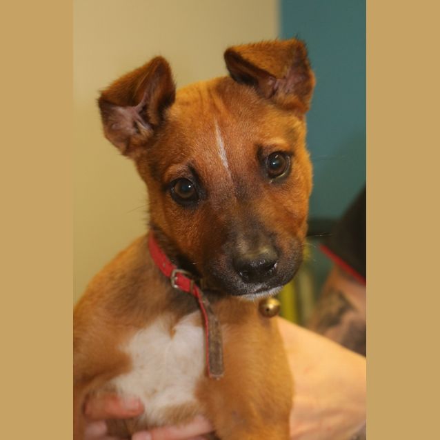 Photo of Whippa