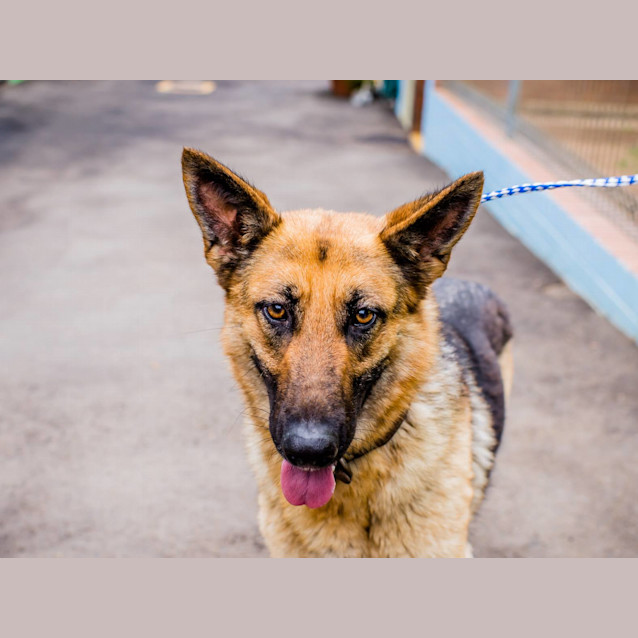 Photo of Sophie (4010)