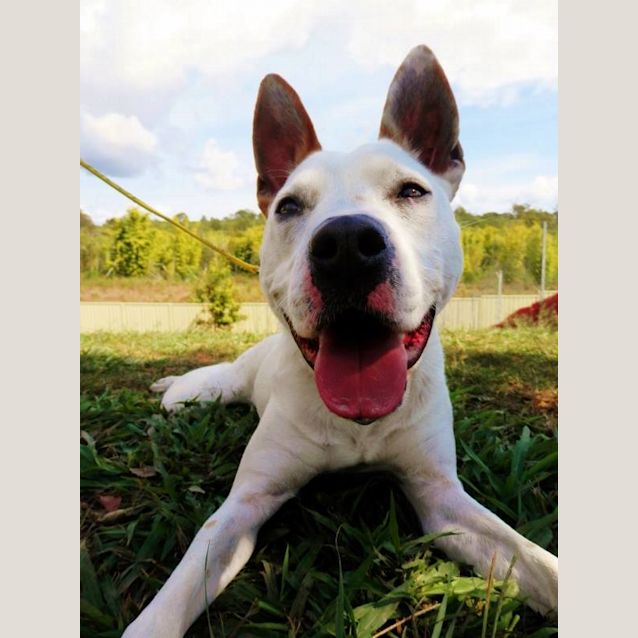 Photo of Miss Pickle