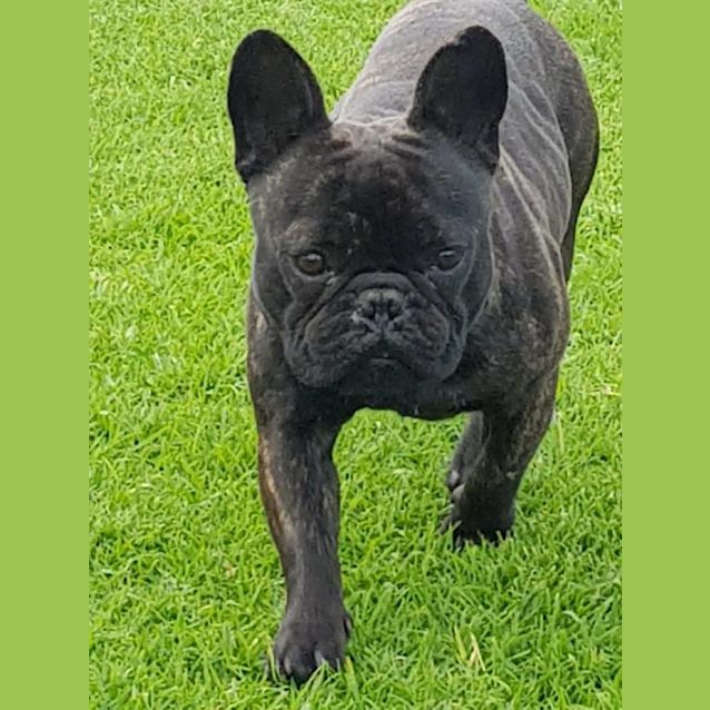 Photo of Wally