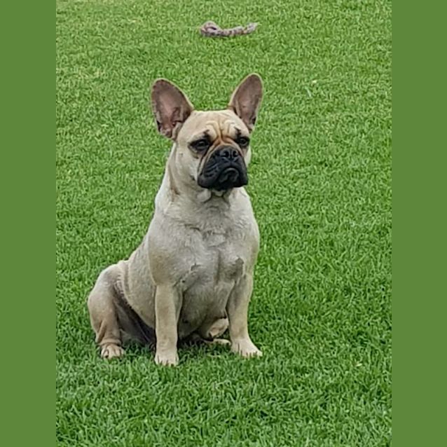 Photo of Zoe
