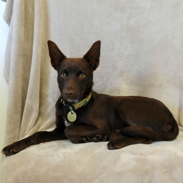 Photo of Winnie