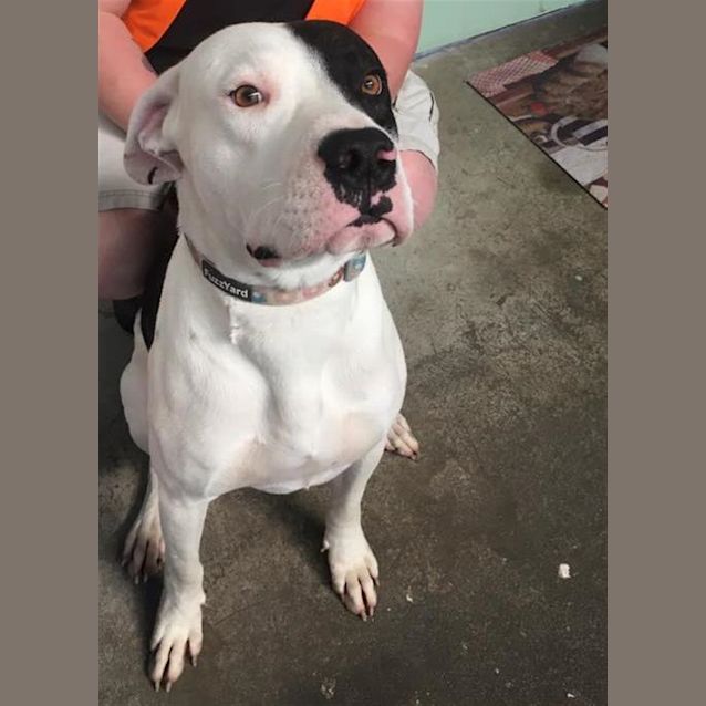 Photo of Finn