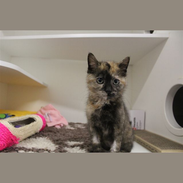 Photo of Bon Bon