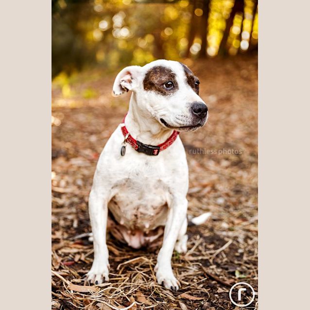 Photo of Calypso