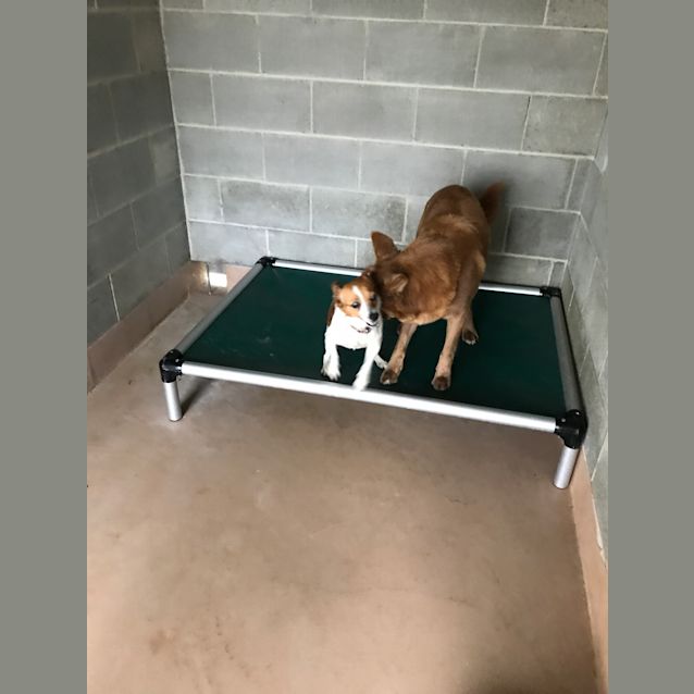 Photo of Fred And Wilma