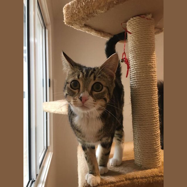 Photo of Lil