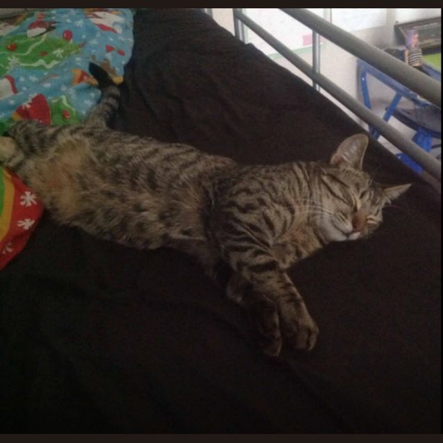 Photo of Louie 