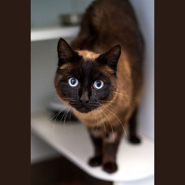 Photo of Lexi