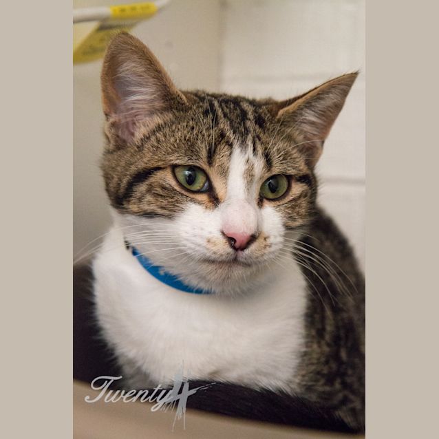 Photo of Carter (4036)