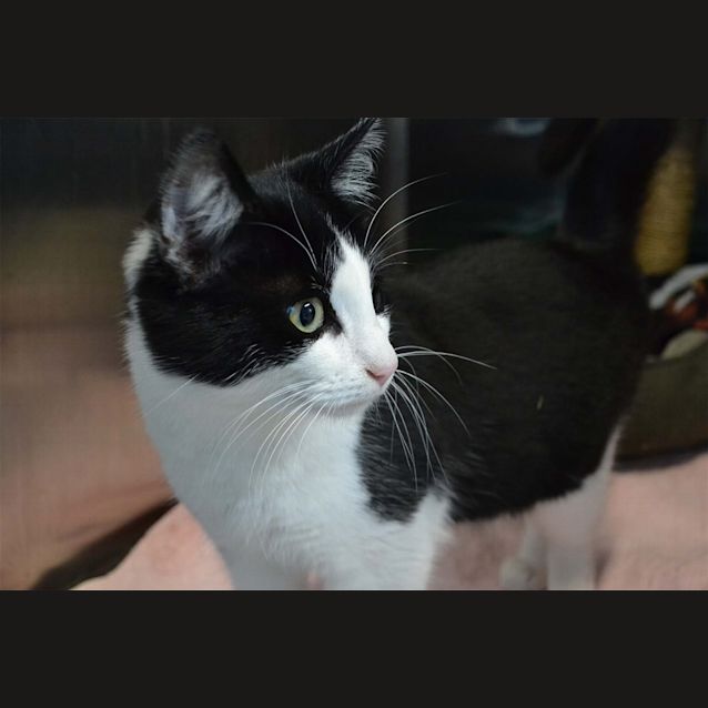 Photo of Jack