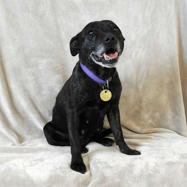 Photo of Ruby
