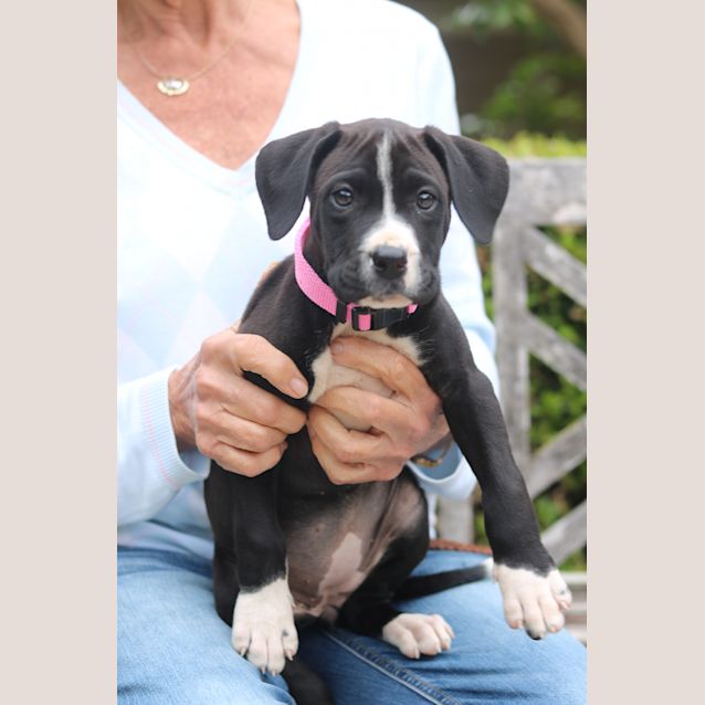 Photo of Gwen