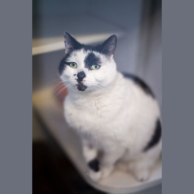 Photo of Missy
