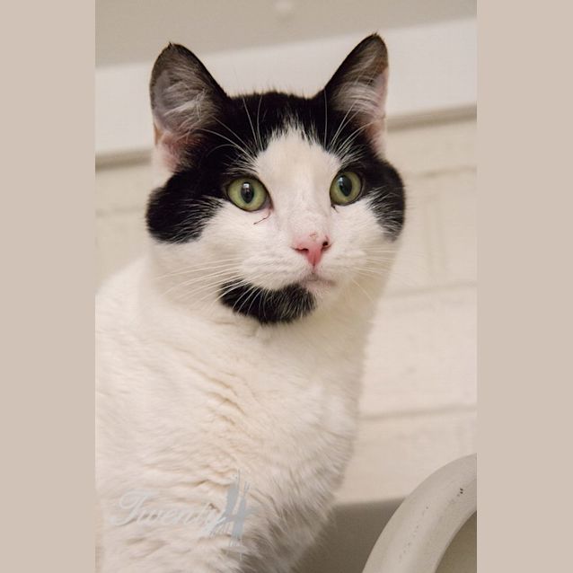 Photo of Peter (3945)