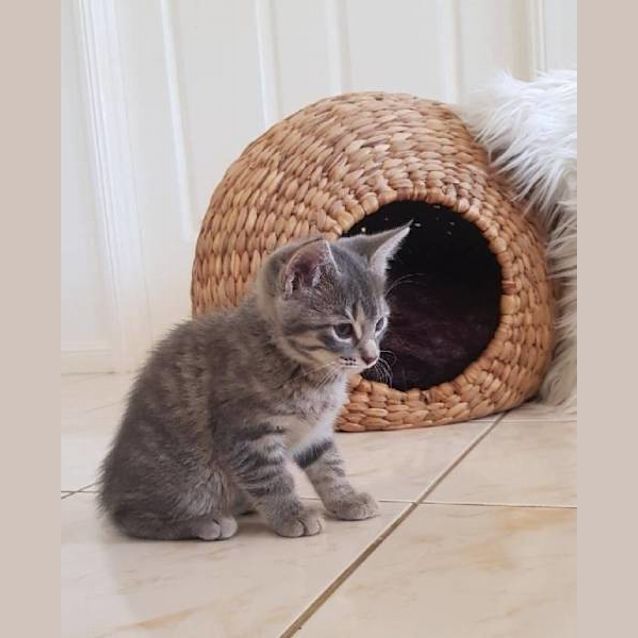 Photo of Adora