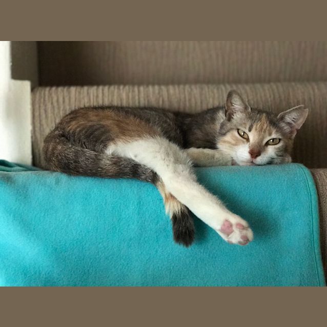Photo of Mindy