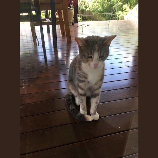 Photo of Prudence