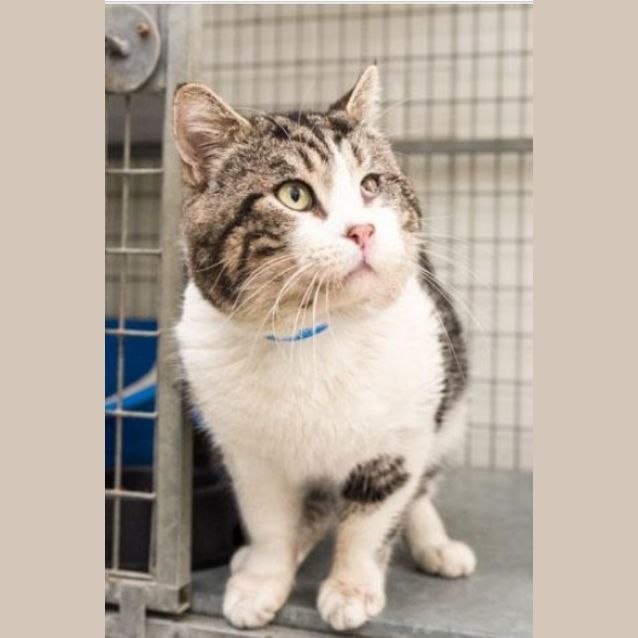 Photo of Teddy Bear (3527)