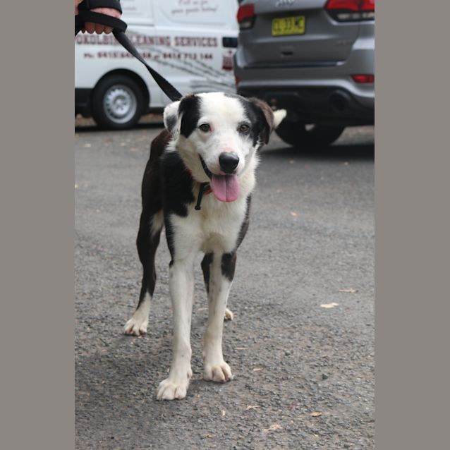Photo of Keno