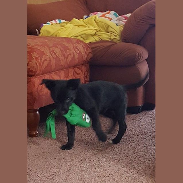Photo of Spooky....
