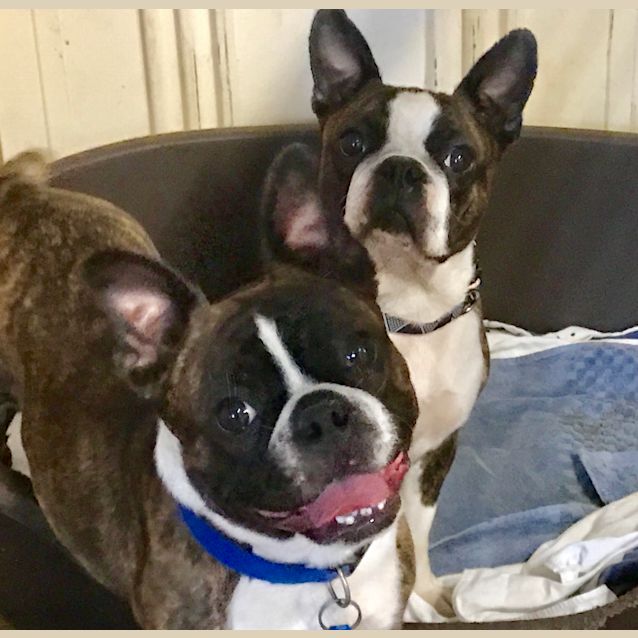 Photo of Xena & Gaby